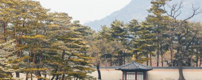 魔道祖师动画版场景：魏无羡吹箫场景，中国风水墨动画，画面精致唯美